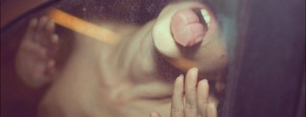 День, когда все так, как надо. Всем привет!