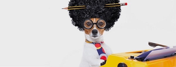 Контакты администрации и редакции сайта Девушка.ру