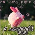 Аватара пользователя